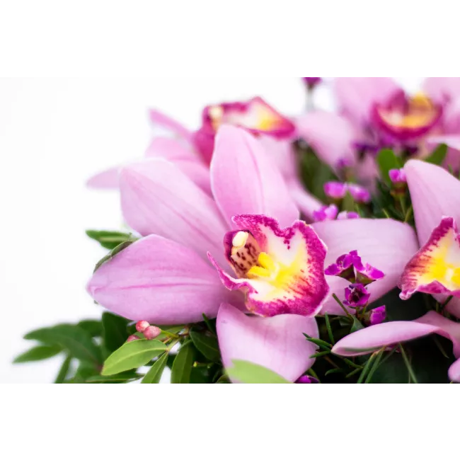 Box of flowers